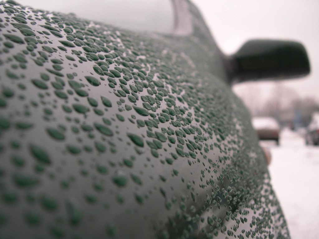 Toyota Corolla Rain Thomasville
