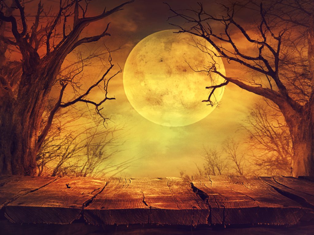 Pavo Haunted House