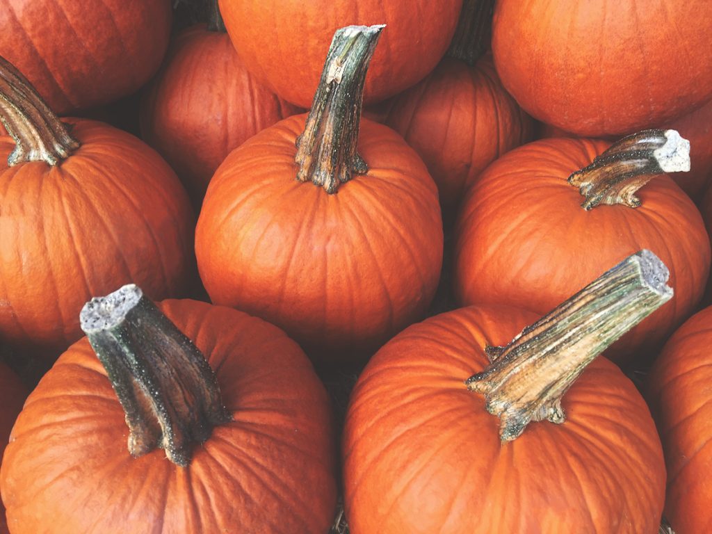 Pumpkin