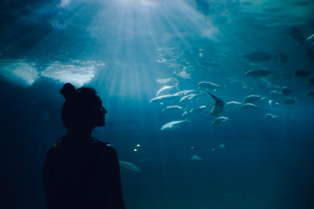 Flint Riverquarium