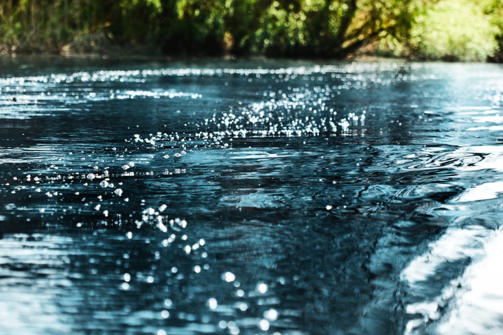 Florence Marina State Park