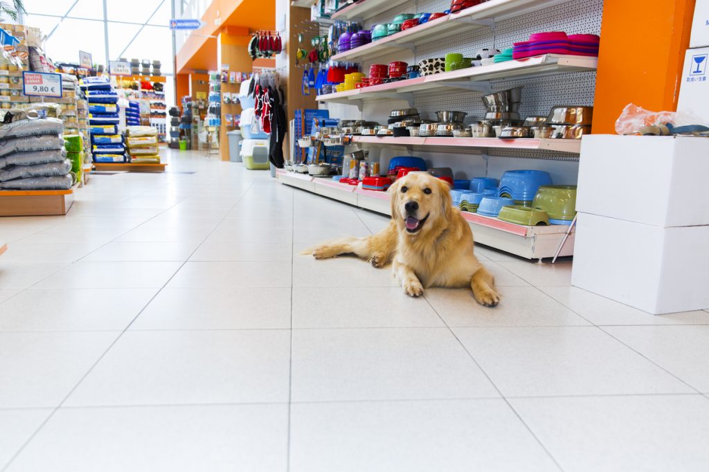 Hugga Mugga’s Pet Shop